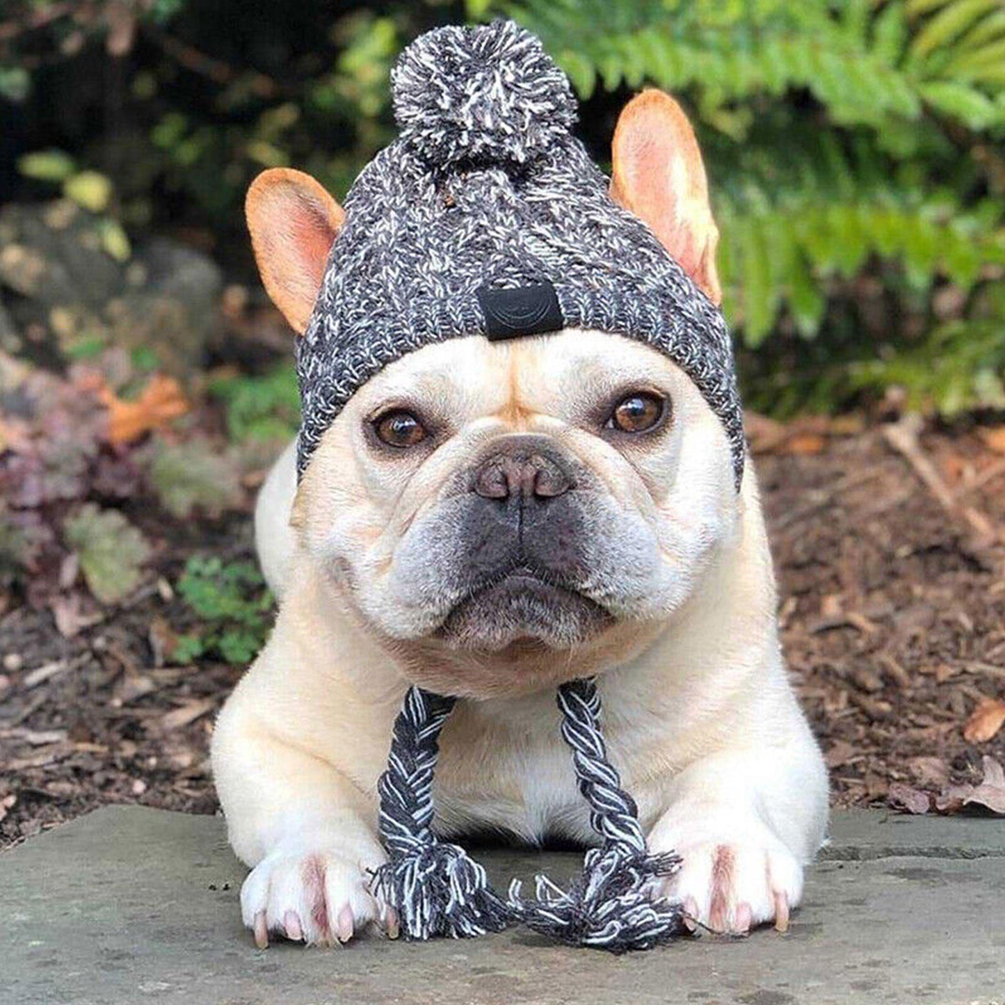 SnugglePup Beanie