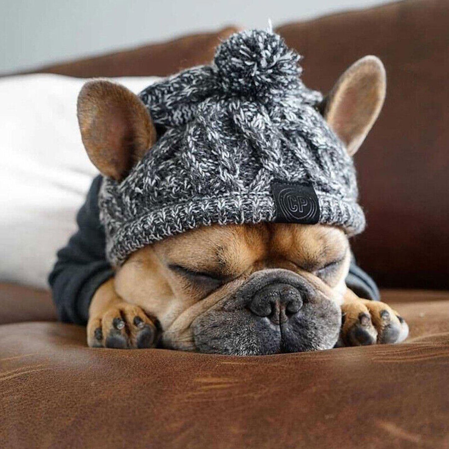 SnugglePup Beanie