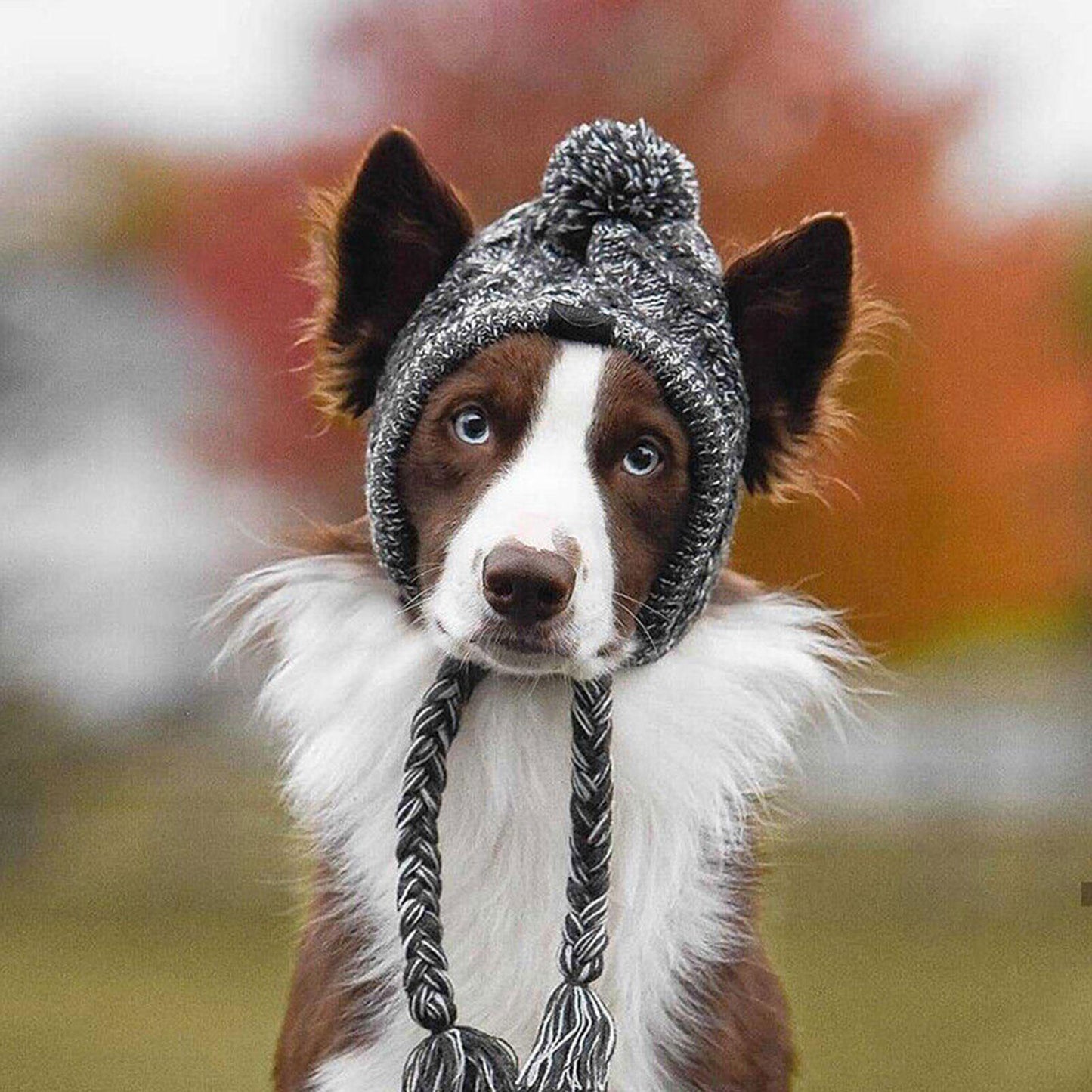 SnugglePup Beanie